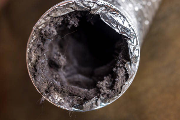 Best Air Duct Cleaning Near Me  in Mead, WA