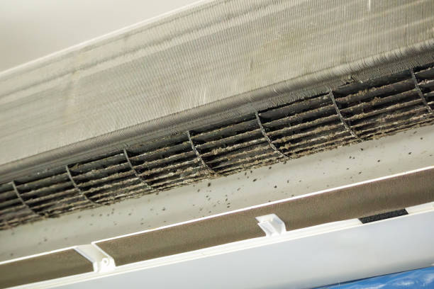 Best Air Duct Inspection  in Mead, WA