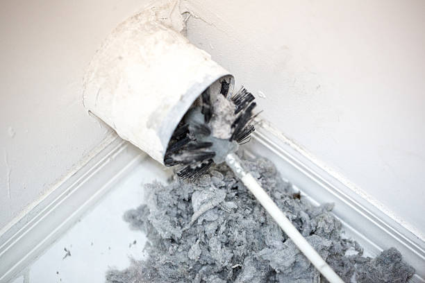 Best Air Vent Cleaning Services  in Mead, WA